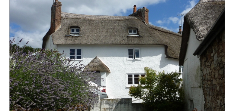 The Perfect Devon cottage for rent in exeter