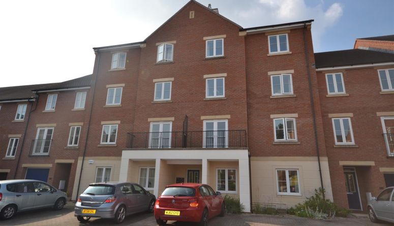 72 gras lawn 002.jpg